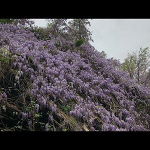 Meet your Posher, Sharon